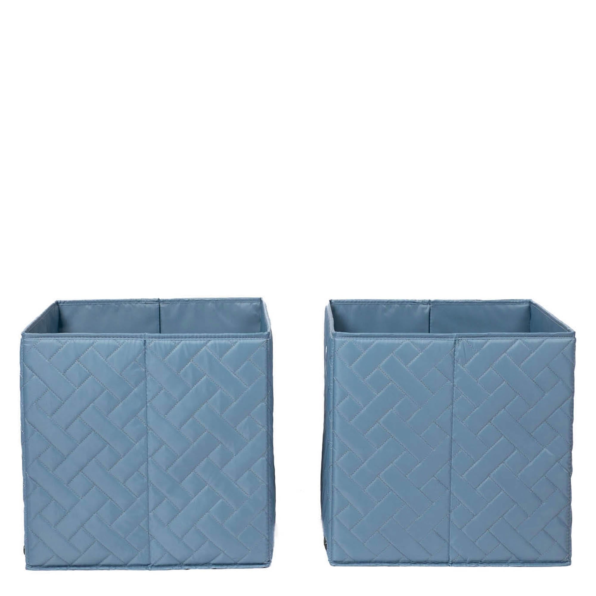 Cargo 2pc Collapsible Cube Bins