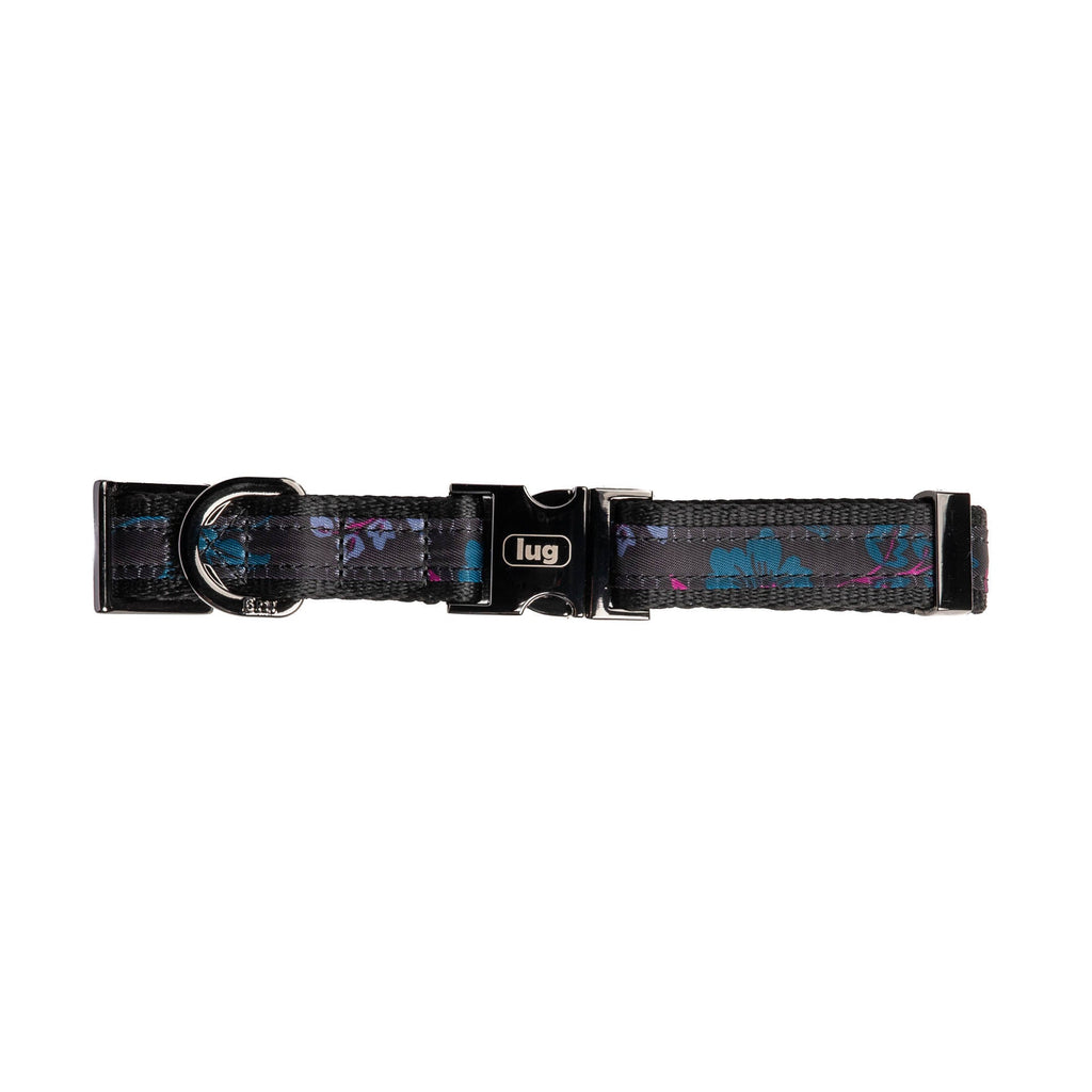Fetch Pet Collar and Leash Set