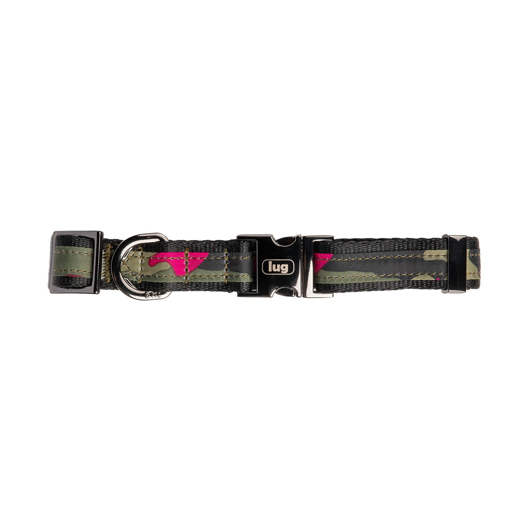 Fetch Pet Collar and Leash Set