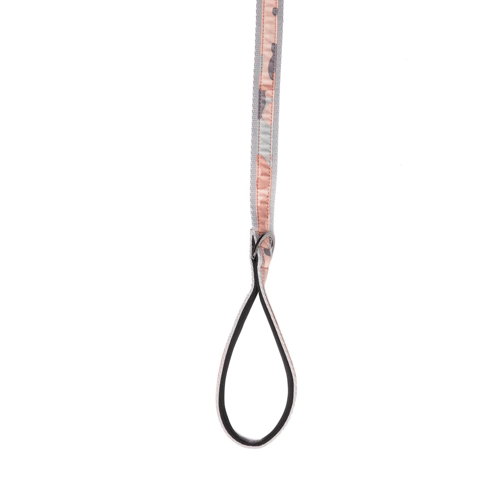 Fetch Pet Collar and Leash Set