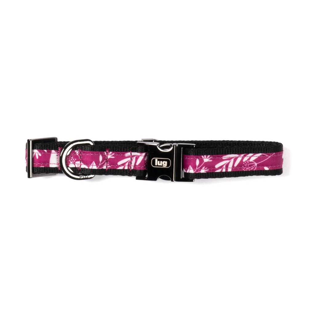 Fetch Pet Collar and Leash Set