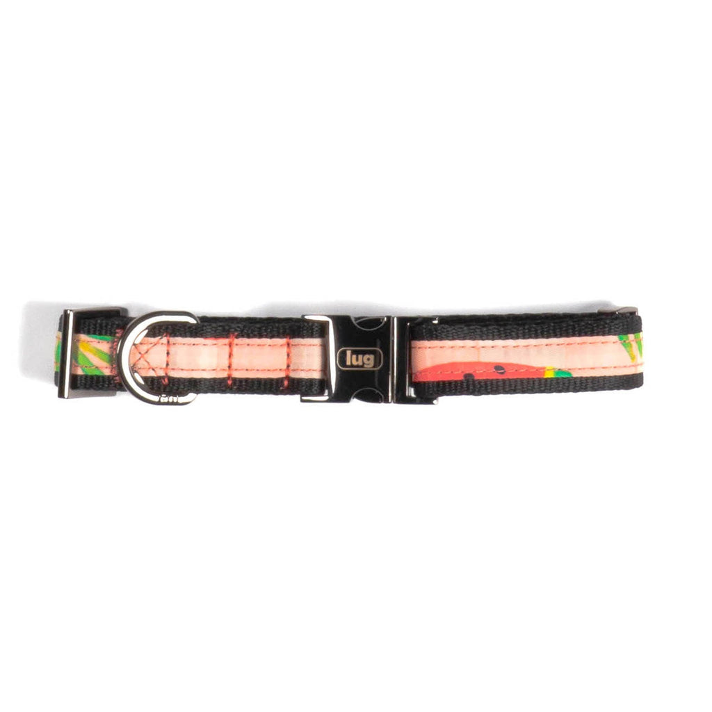 Fetch Pet Collar and Leash Set