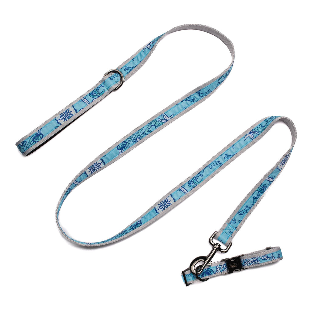 Fetch Pet Collar and Leash Set